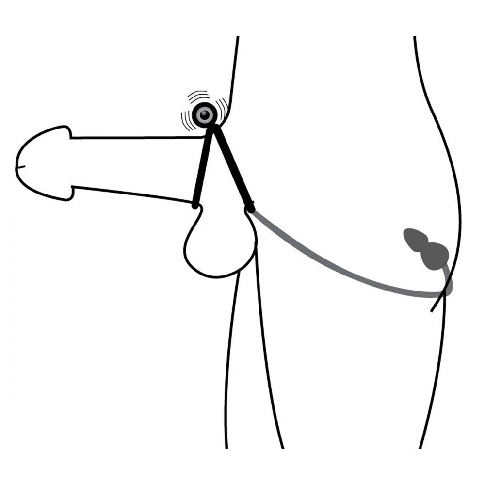 Prostatic Play Voyager 1 Vibrating Cock Ring and Anal Plug