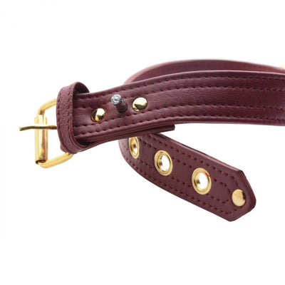 Strict Leather Luxury Burgundy Locking Collar