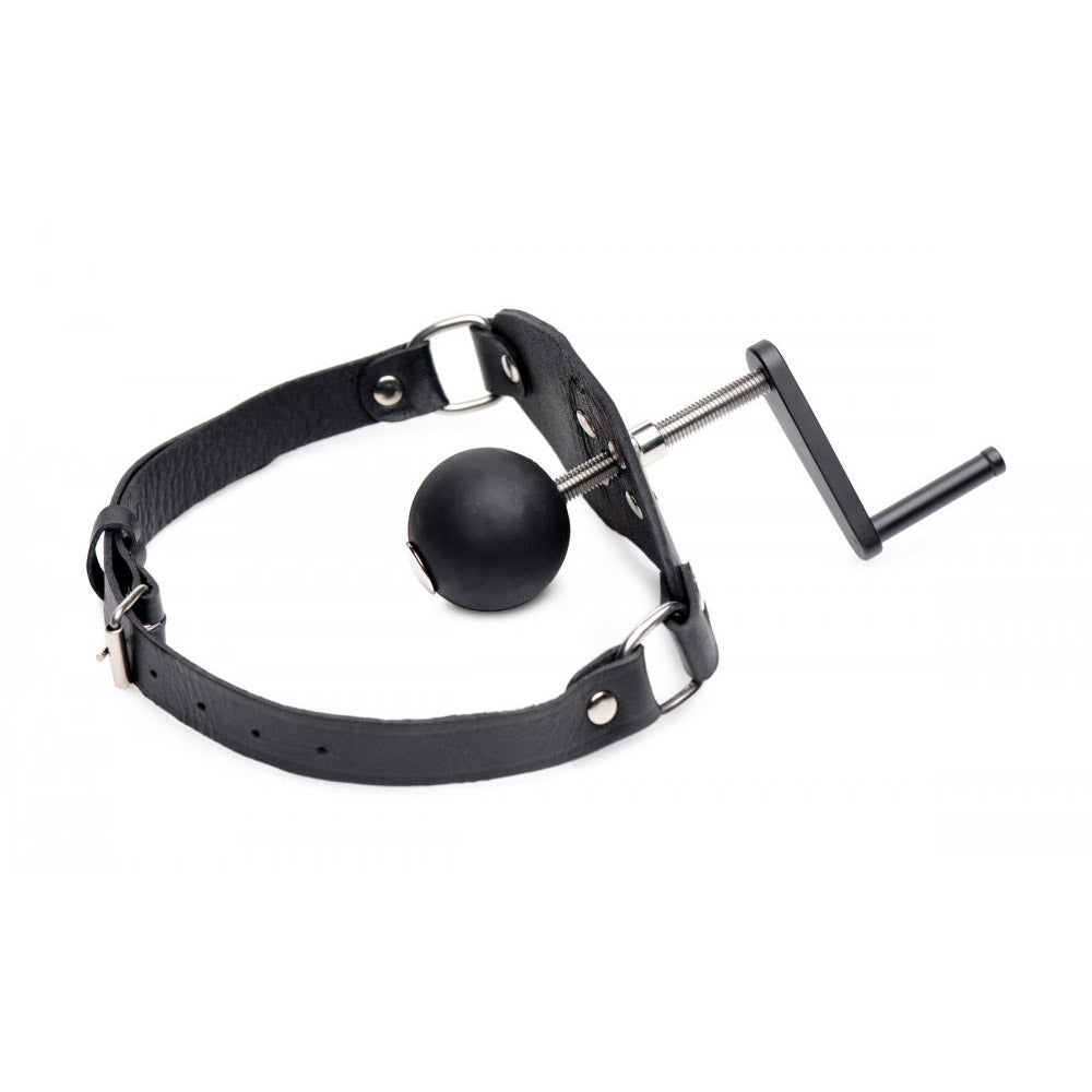 BDSM Mouth Gag With Crank Ball