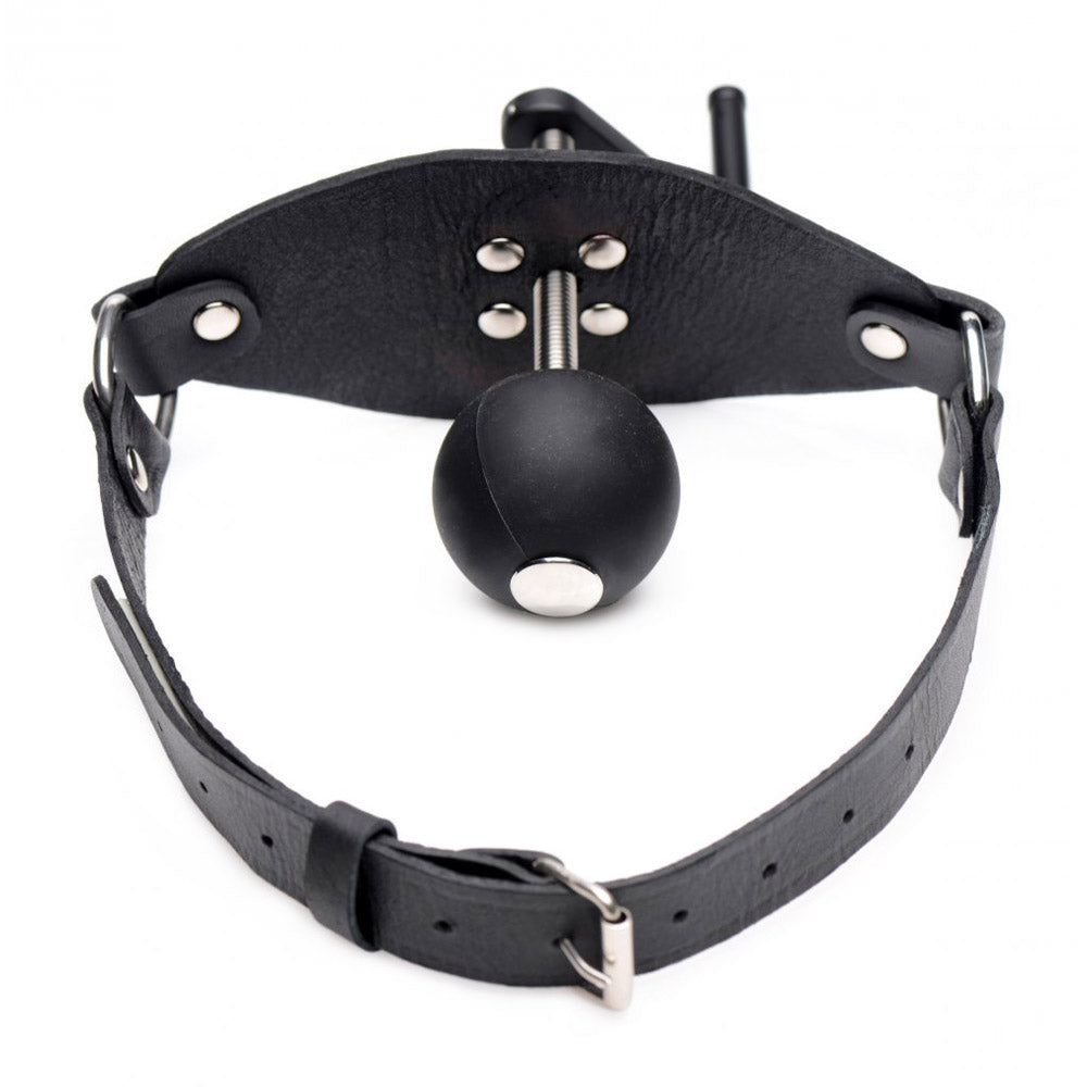 BDSM Mouth Gag With Crank Ball