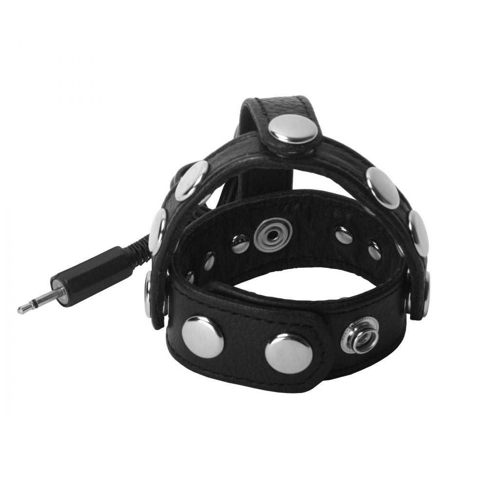 Radian Leather Ball Harness